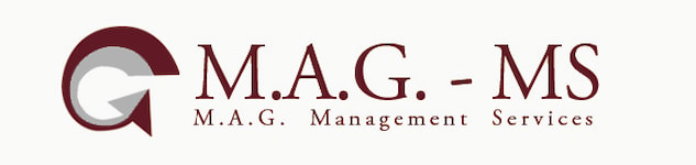 M.A.G. - Management Systems